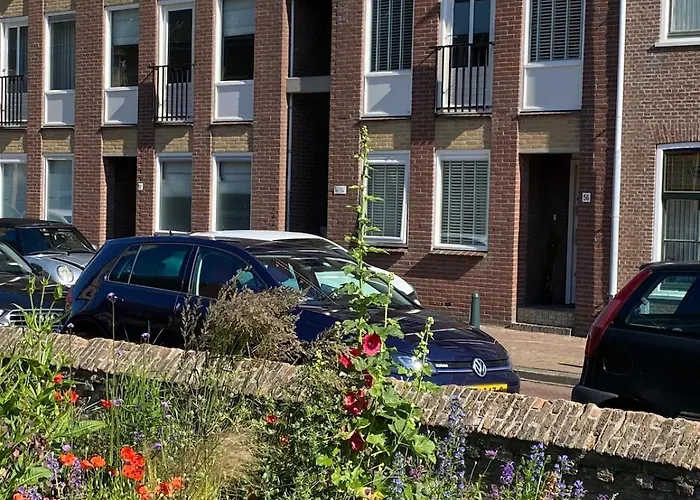 Daire Beautiful Surf Style By The Sea